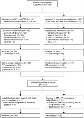 Randomized Control Trial of Postnatal rhIGF-1/rhIGFBP-3 Replacement in Preterm Infants: Post-hoc Analysis of Its Effect on Brain Injury